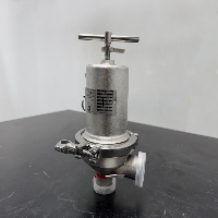 Steriflow Food & Beverage Sanitary Pressure Regulator image 0